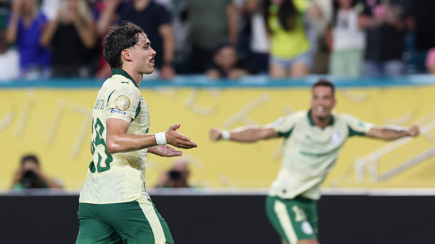 Cesar Greco/Palmeiras